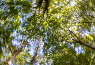 &copy; Kurverwaltung Goehren / Martin Stoever