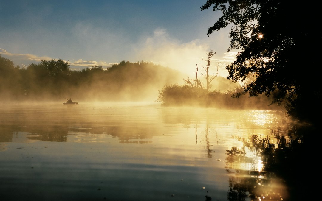 Mysterious fog in the morning over the Peene, © TMV/Grundner
