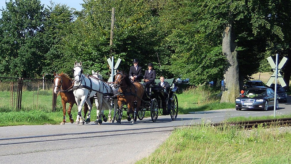 Regularne wycieczki powozem konnym lub Kremserem są dostępne z Hof-Viervitz przez wyspę Rugia // © Hof-Viervitz/Hermann Regularne wycieczki powozem konnym lub Kremserem są dostępne z Hof-Viervitz przez wyspę Rugia // © Hof-Viervitz/Hermann
