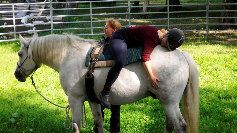 In het Art.Quartier in Starkow wordt rugtransplantatie op paarden beoefend., © Anne Hille