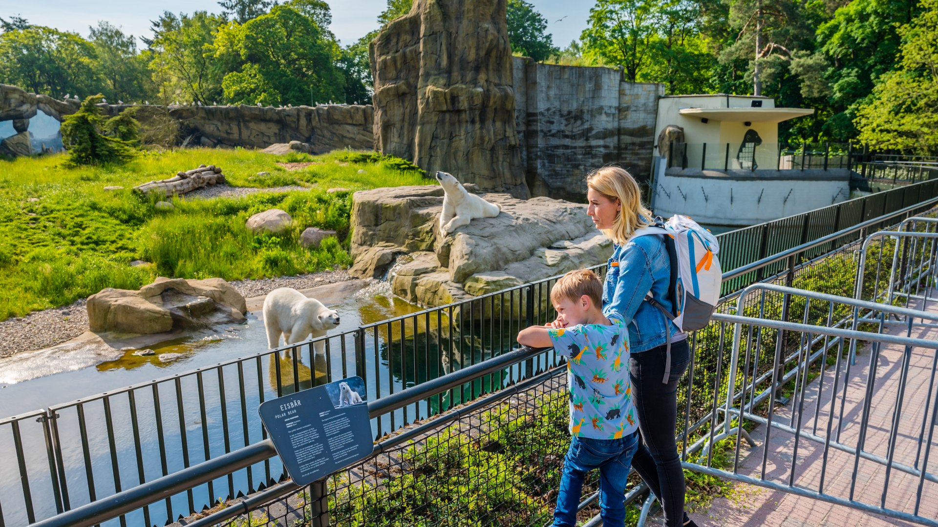 Erik i jego mama w polarium w zoo w Rostocku. Oglądają wybieg z niedźwiedziami polarnymi.