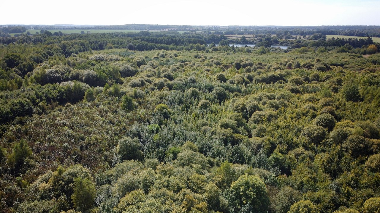 Klimatyczny leśny rezerwat biosfery Schaalsee // © Landesforst MV Klimatyczny leśny rezerwat biosfery Schaalsee // © Landesforst MV