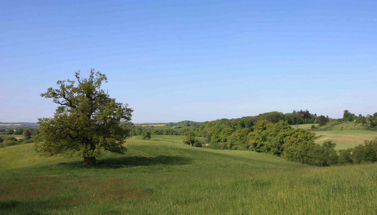 24-06-08 Geschiedenis en toekomst 02, GMZ, &copy; np-msk