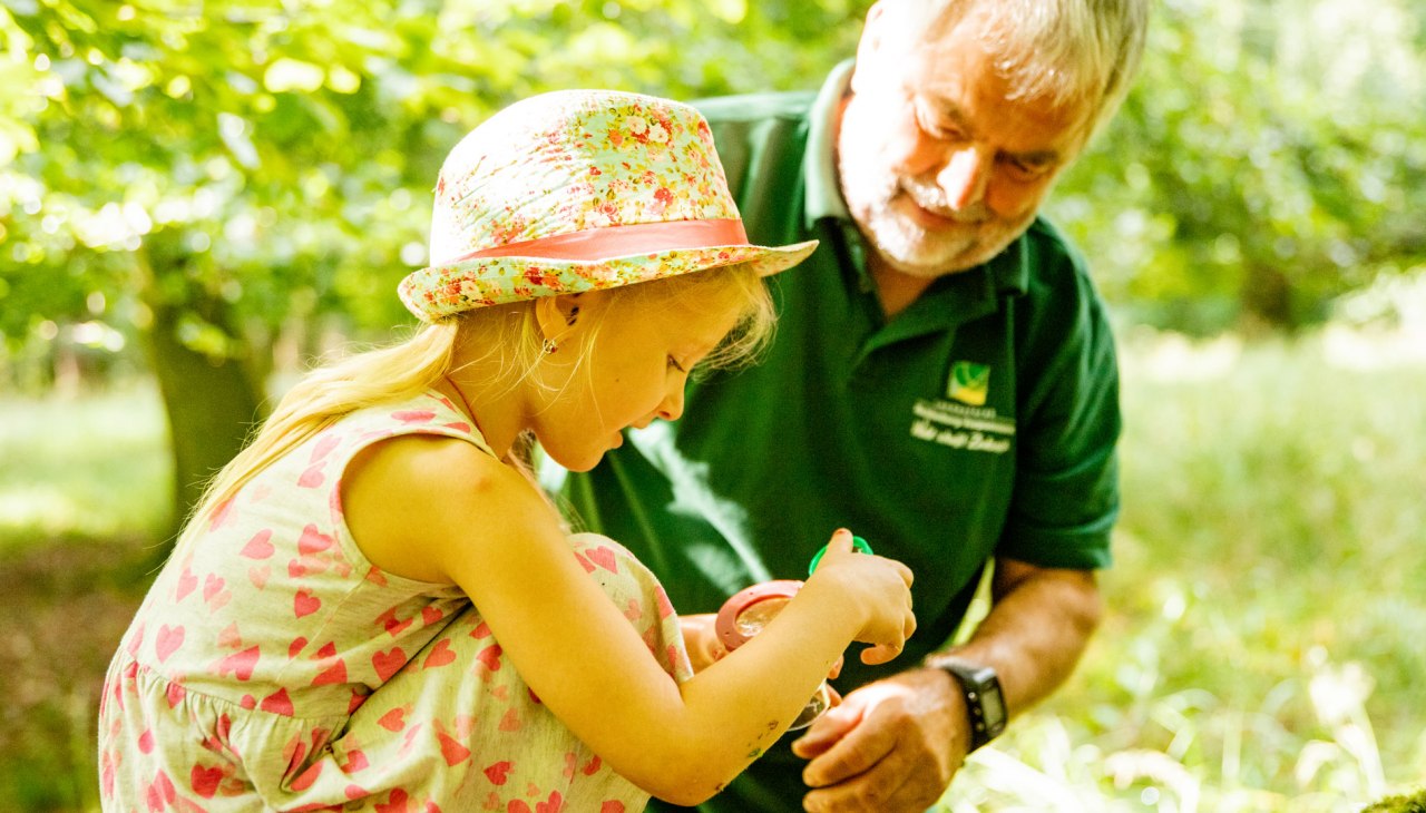 waldpaedagogik, &copy; Landesforst MV