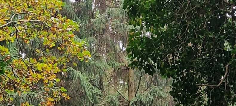 © KV Mönchgut © KV Mönchgut