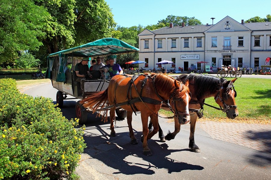 Carriage rides in the Boek Wildlife Park, &copy; Rene Legrand