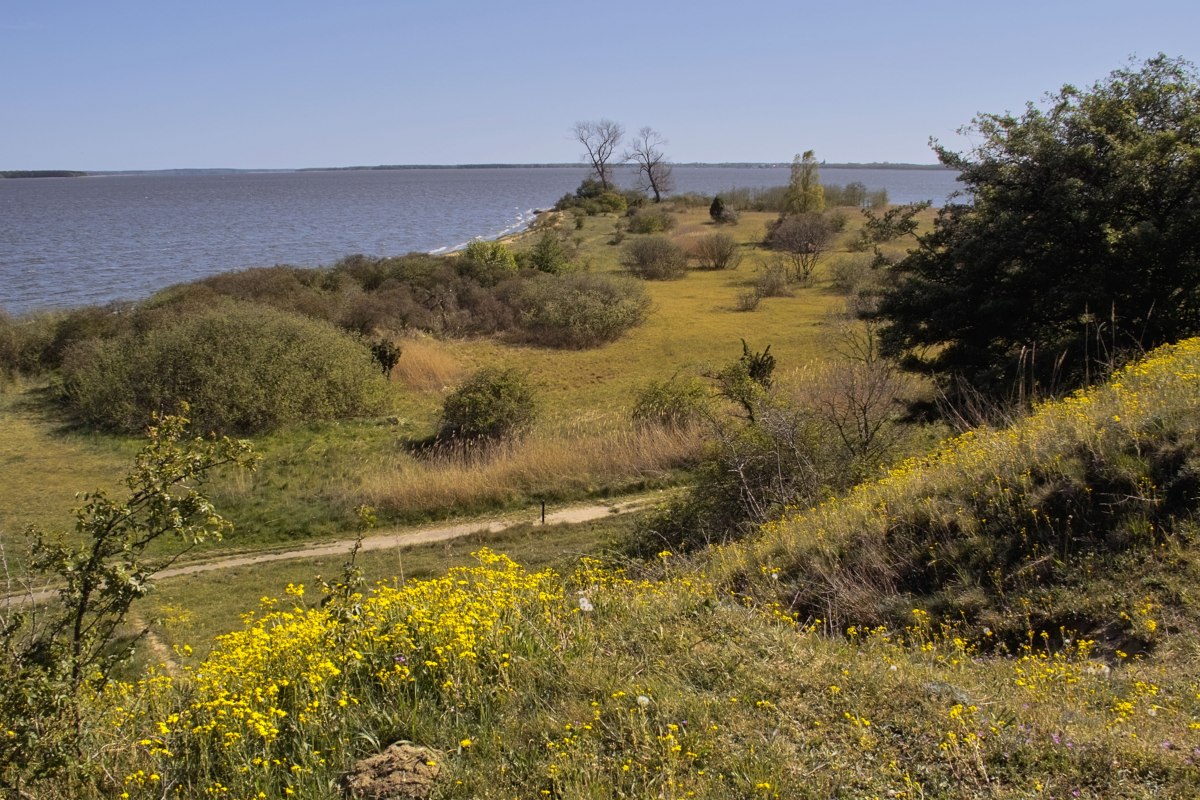 Widok na rezerwat przyrody Gnitz // &copy; Fotoarchiv Naturpark Insel Usedom