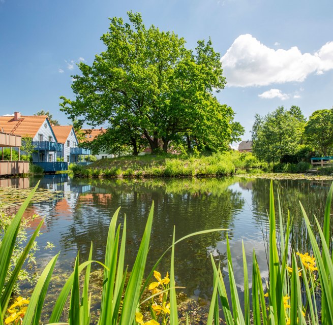 © Feriendorf Fleesensee GmbH © Feriendorf Fleesensee GmbH