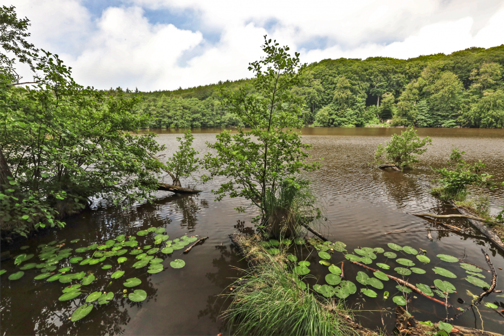 herthasee_6, © TMV/Gohlke herthasee_6, © TMV/Gohlke