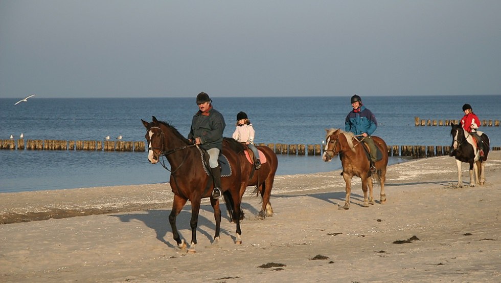 Je kunt strandritten maken met de ruiter- en vakantieboerderij Illner // &copy; Reit- und Feriencamp Illner/ Siegfried Illner