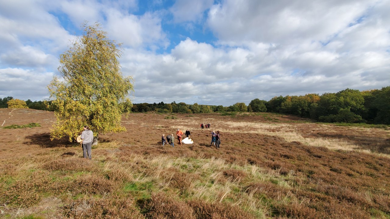Heideonderhoud 2025, © D. Foitlänger Heideonderhoud 2025, © D. Foitlänger
