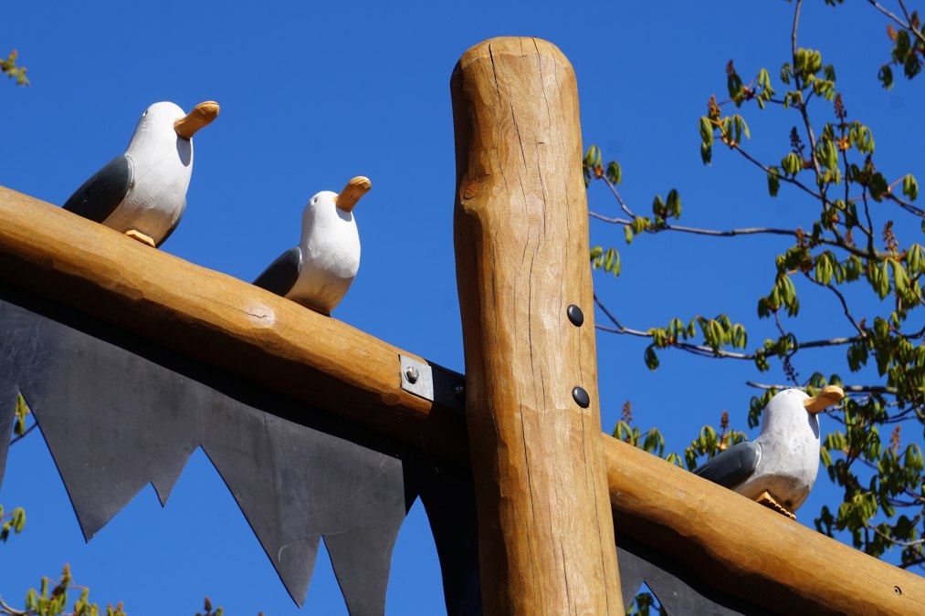 The trio of seagulls watches over the little pirates., © Cindy Wohlrab / KVW Wustrow The trio of seagulls watches over the little pirates., © Cindy Wohlrab / KVW Wustrow