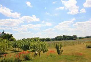 © Brigitte Leberl © Brigitte Leberl