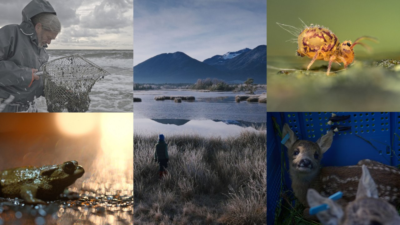 © Natascha Tagwerk, Enita Maidorn, Jonas Steiner, Yaz Ellis, Jack Mifflin, Roman Willi © Natascha Tagwerk, Enita Maidorn, Jonas Steiner, Yaz Ellis, Jack Mifflin, Roman Willi