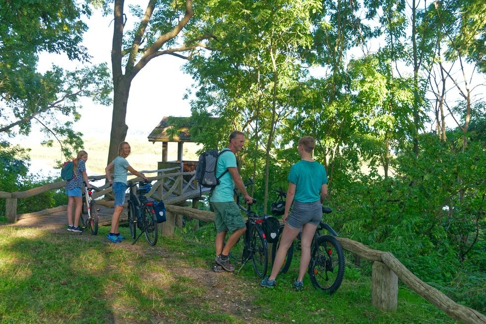 Wieża widokowa Burgwallinsel, © C. Drühl/Tourist-Info