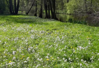 Spring in Semlow Park // &copy; Petra Rackow