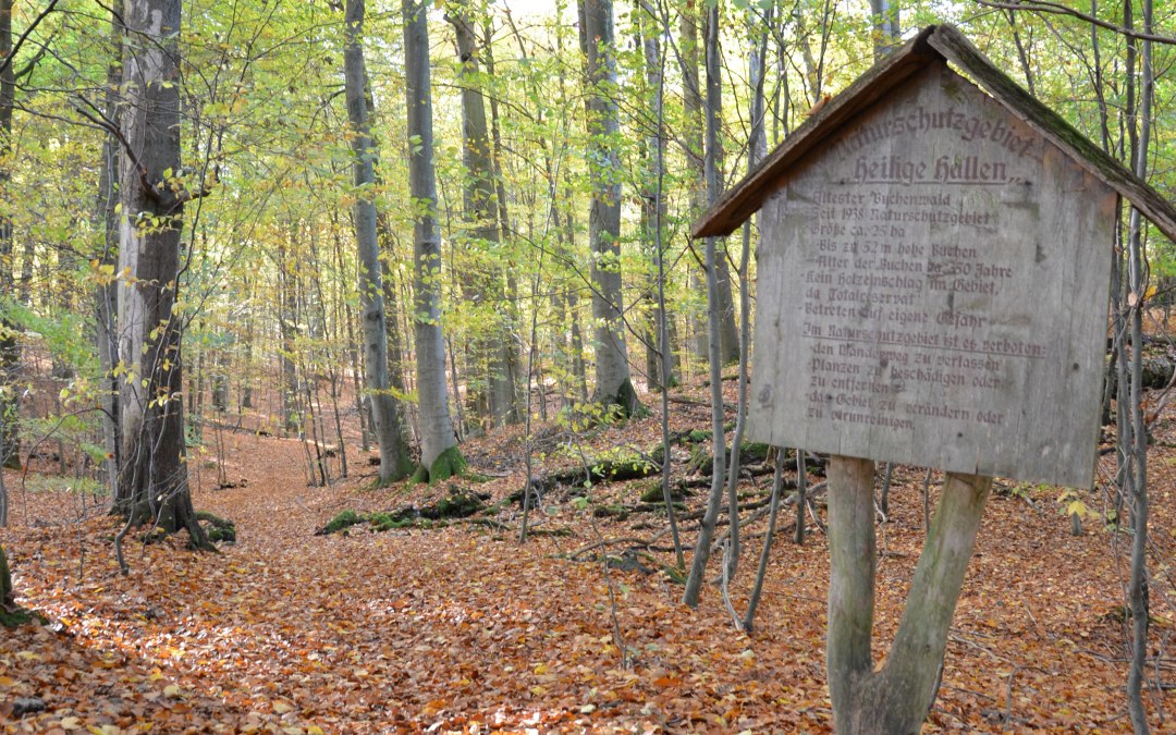 © Kurverwaltung Feldberger Seenlandschaft © Kurverwaltung Feldberger Seenlandschaft