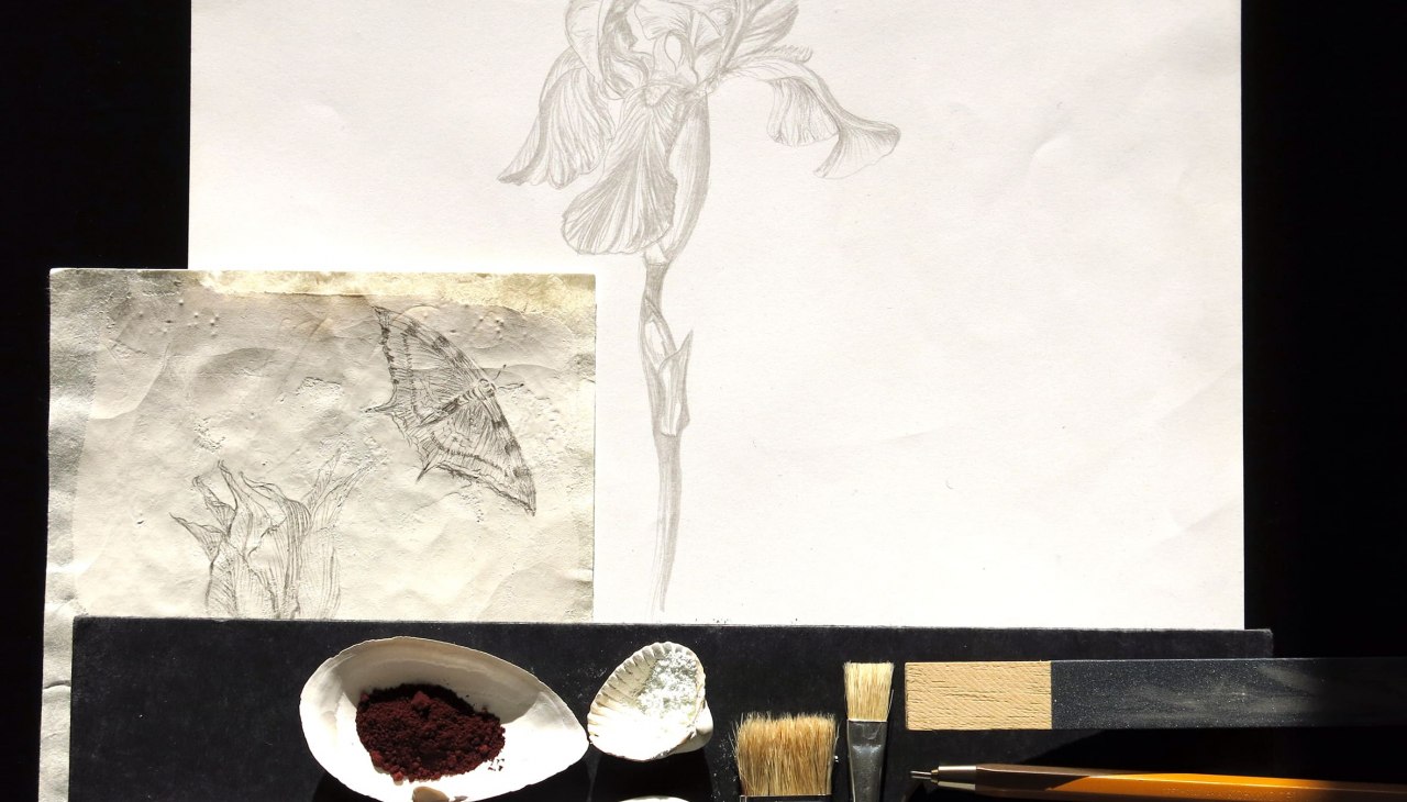 Rysuj za pomocą srebra, © Jana Plewa Rysuj za pomocą srebra, © Jana Plewa