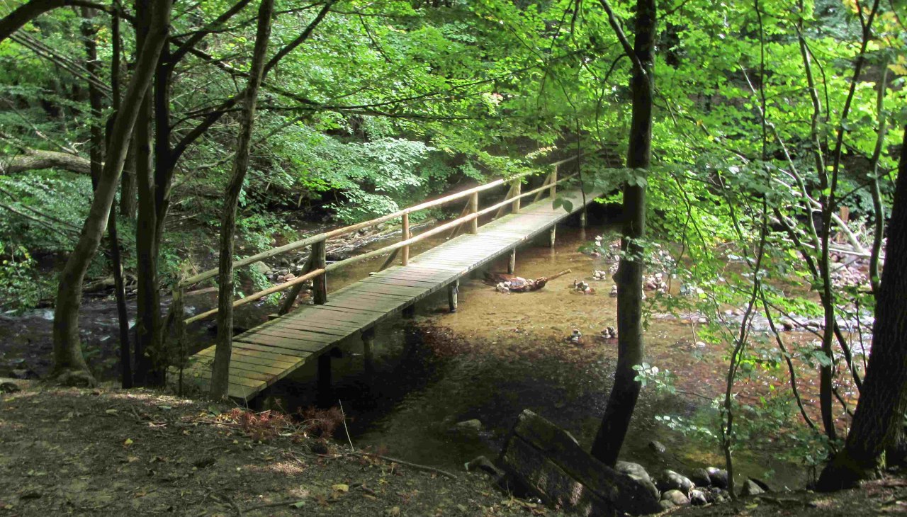 In the fog valley, &copy; np-msk