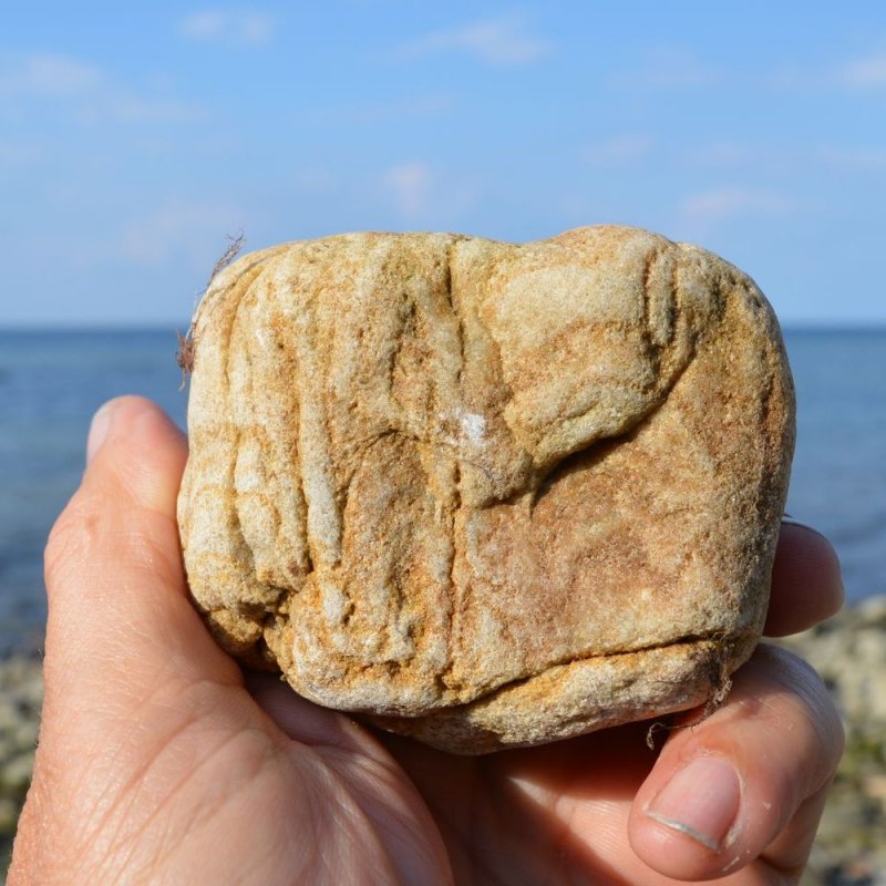 Skamieniałe tunele robaków – skamieniałość z piaskowca Skolithos, jedna z najstarszych form życia wyższego rzędu // © GeoPark Nordisches Steinreich Skamieniałe tunele robaków – skamieniałość z piaskowca Skolithos, jedna z najstarszych form życia wyższego rzędu // © GeoPark Nordisches Steinreich