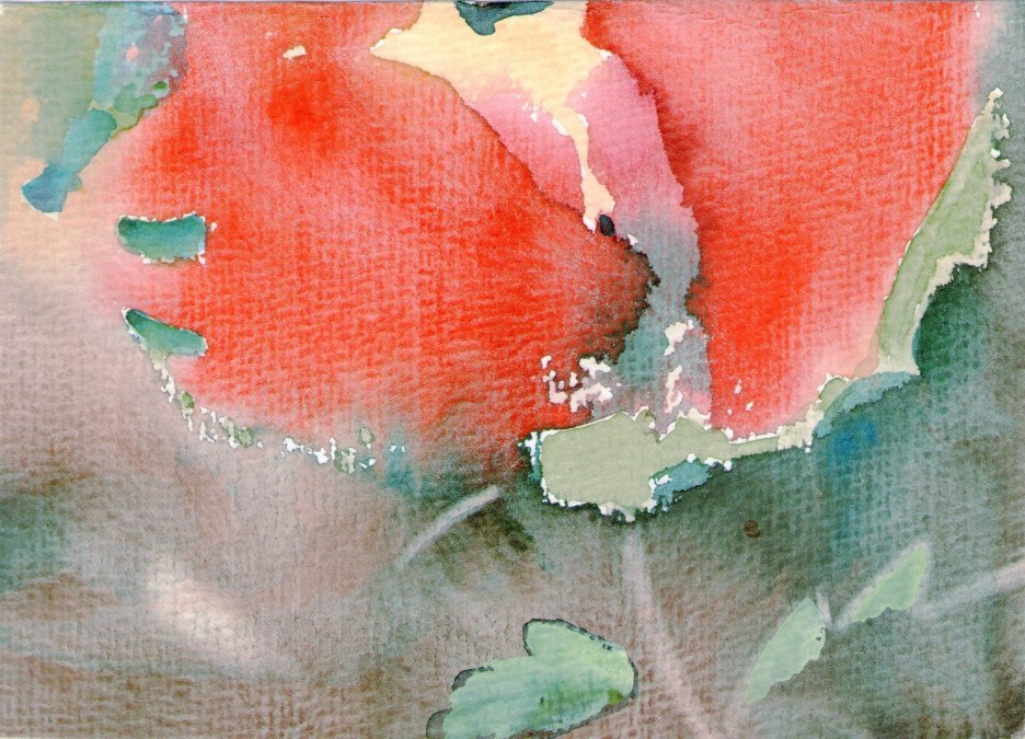 © egon arnold © egon arnold