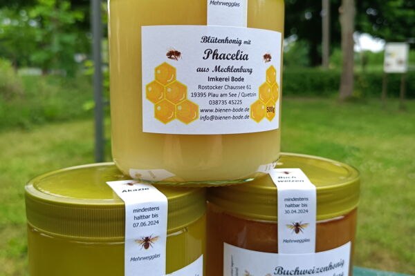 Okrągły autobus Lake Plau, © Rundbus Plauer See Okrągły autobus Lake Plau, © Rundbus Plauer See