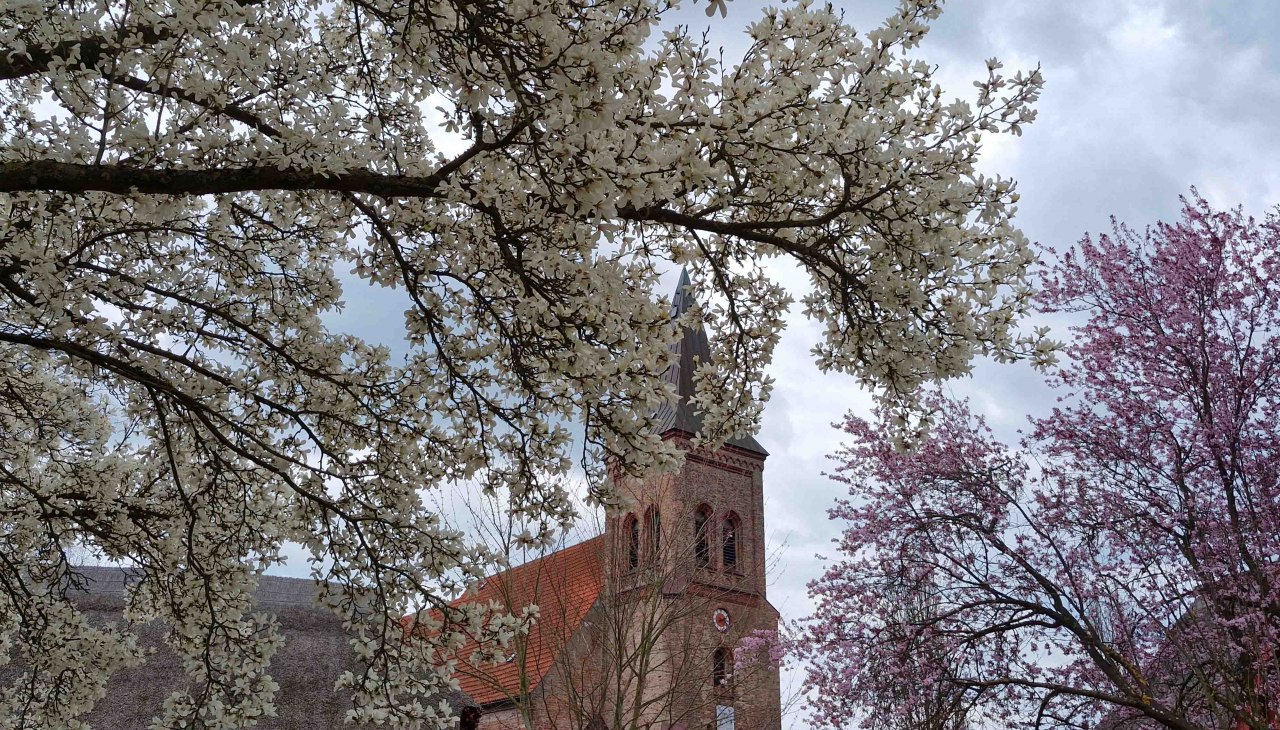 Pastorie Kessin, © Martin Goffing Pastorie Kessin, © Martin Goffing