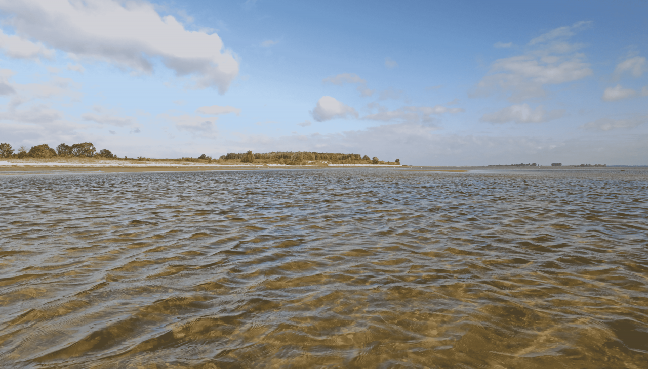 Naturstrand Wampen_4, © TMV/Gohlke