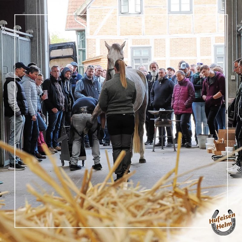 © Hufbeschlag Helm © Hufbeschlag Helm