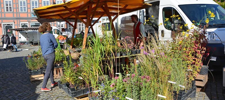 © Waren (Müritz) Kur- und Tourismus GmbH © Waren (Müritz) Kur- und Tourismus GmbH