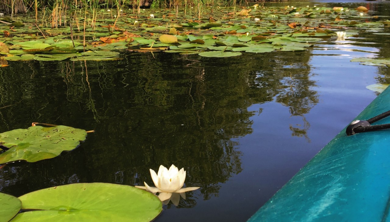 M&uuml;ritzKanu, &copy; TDG Rechlin mbH