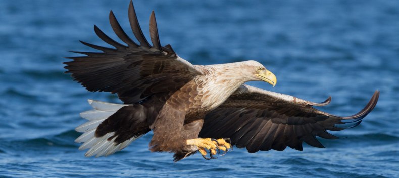 &copy; Klemens Karkow