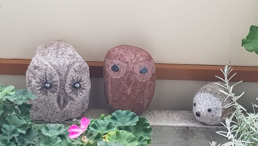 Dierlijke blik, &copy; Bea Zemke