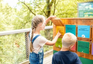 © TMV | Marcus Tiemann © TMV | Marcus Tiemann