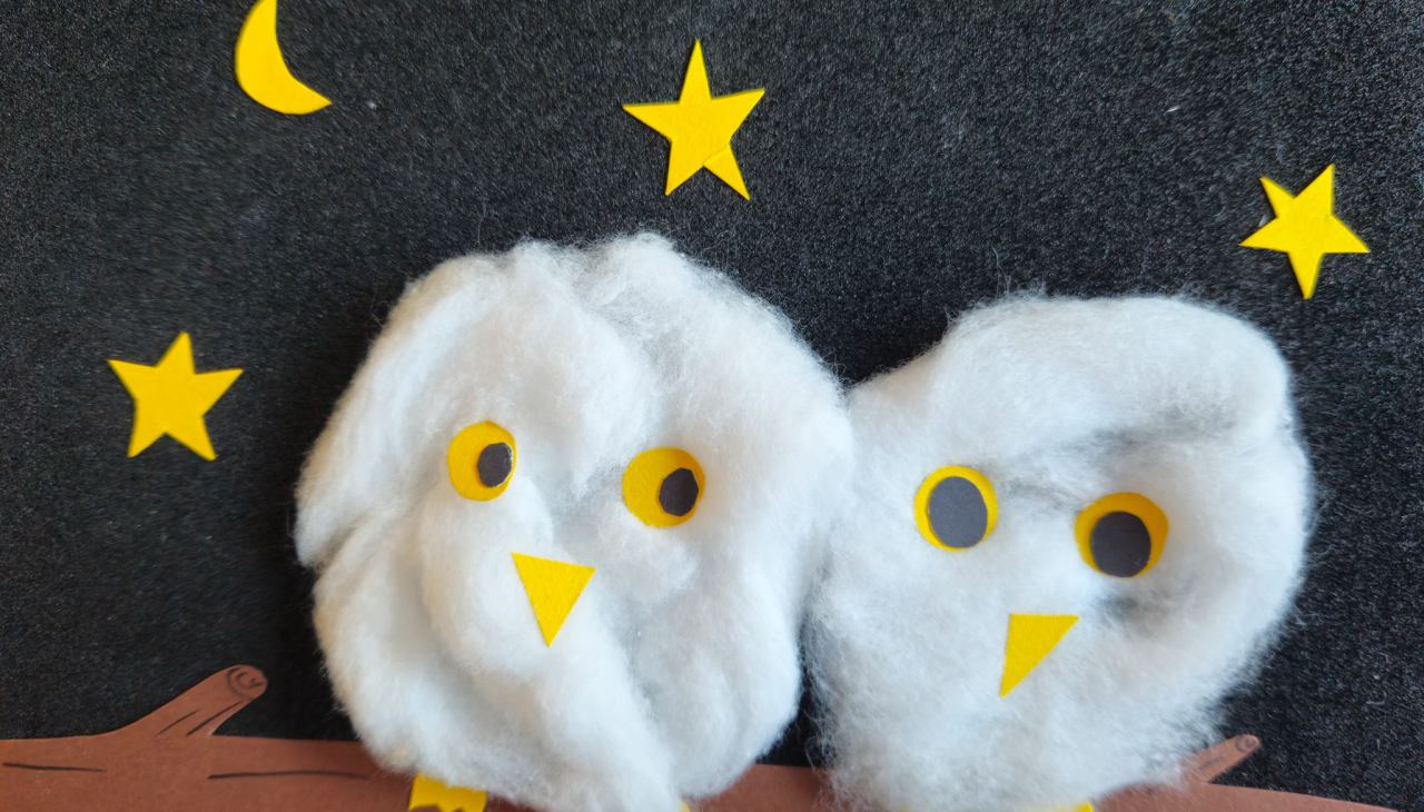 Sowy dobrze widzą w nocy, ale czy ich oczy błyszczą?, &copy; EmiliaBahlke/M&uuml;ritzeum