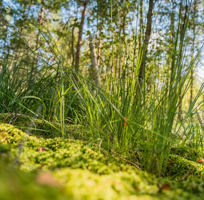 Moor hike // &copy; Andr&eacute; Pristaff / TuK