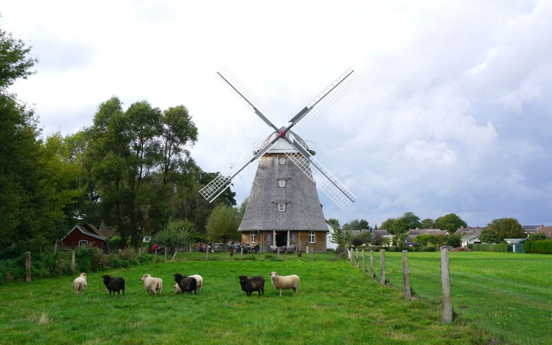 Koffiemolen Ahrenshoop, © Kurverwaltung Ahrenshoop