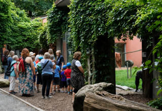 © Hansestadt Stralsund © Hansestadt Stralsund