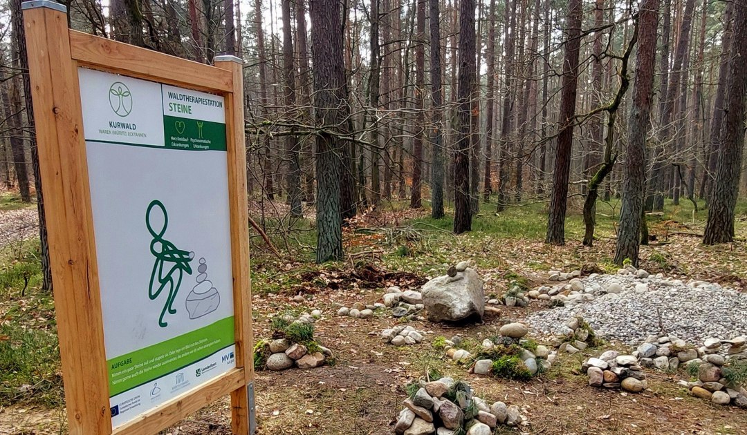 Kurwald 2 t.s., © Waren (Müritz) Kur- und Tourismus GmbH
