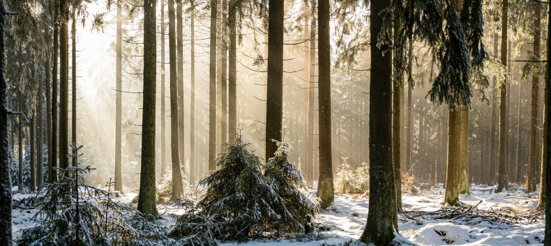 &copy; Foto von Babette Landmesser auf Unsplash