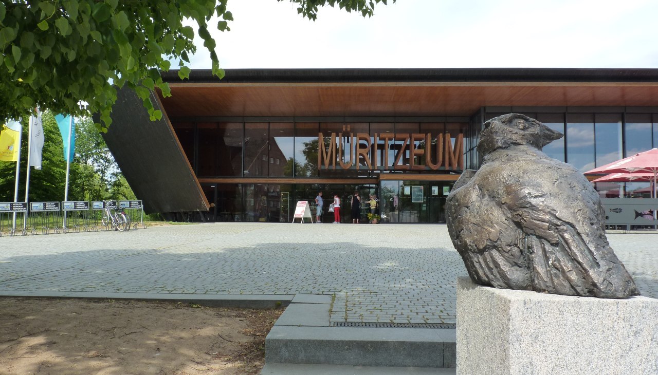 Sowa autorstwa Walthera Preika, &copy; Waren (M&uuml;ritz)-Information