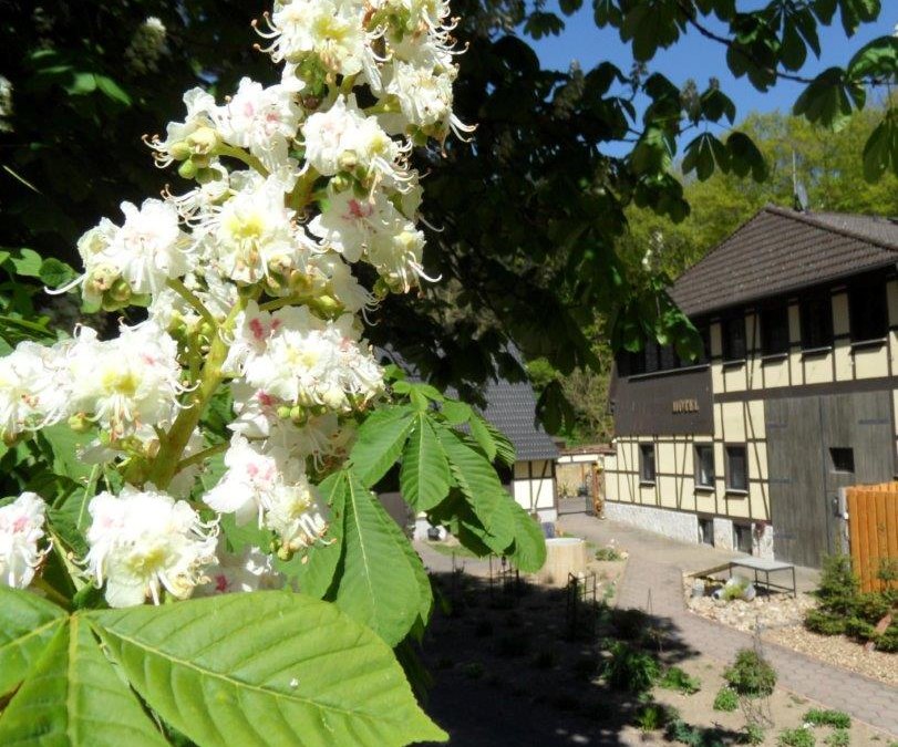 Dat Waldhus in de lente, © Steffen Tepasse