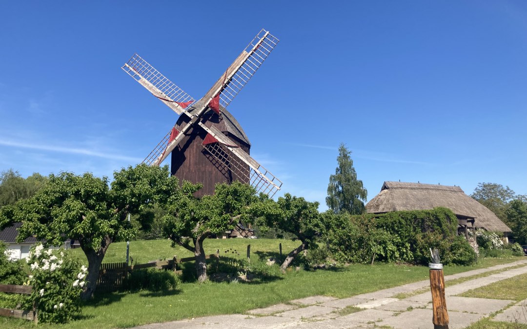 Zicht op de Eldena molen met de kunstschuur op de achtergrond., © Martin Weidemeier