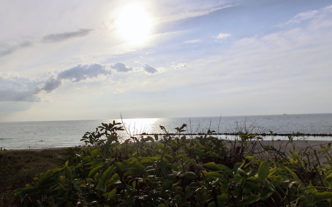 View of the Baltic Sea, © Kurverwaltung Ahrenshoop · Foto Dana Schmidt