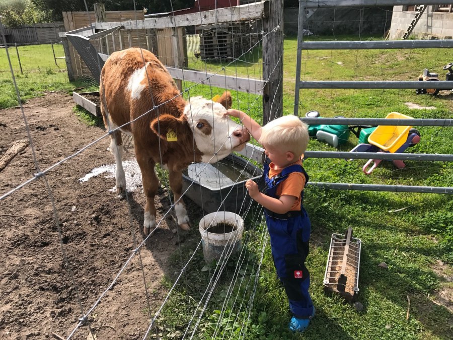 Mali goście mogą odwiedzać, podziwiać, głaskać i oczywiście karmić mnie i moich przyjaciół, © © Hannas Ranch