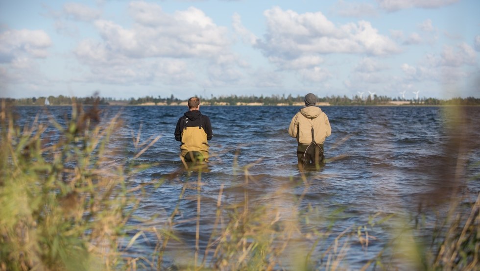 Good pike hotspots can be reached with waders for example in the Großer Jasmunder Bodden, in the area of the Wittower Ferry, in the Kubitzer Bodden south of Barhöft or in the Greifswalder Bodden near Tremt. // © MV-T/Läufer Good pike hotspots can be reached with waders for example in the Großer Jasmunder Bodden, in the area of the Wittower Ferry, in the Kubitzer Bodden south of Barhöft or in the Greifswalder Bodden near Tremt. // © MV-T/Läufer