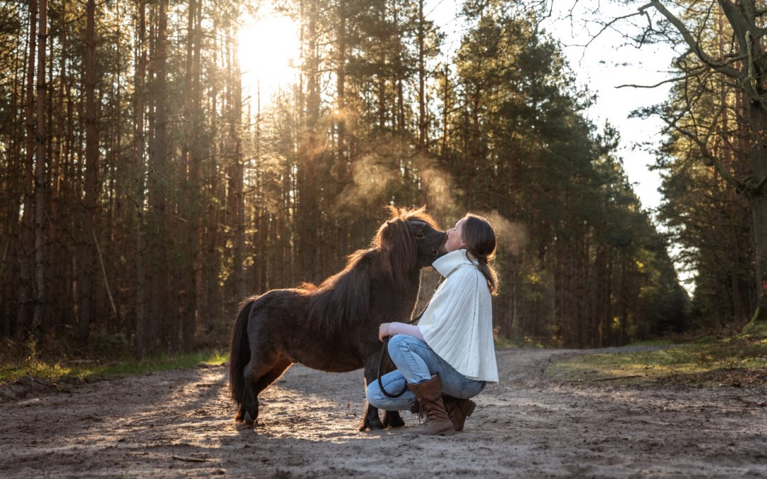 Kucyk przytulanka, © Anniemal Fotografie