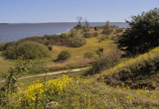 Uitzicht op het natuurreservaat Gnitz // © Fotoarchiv Naturpark Insel Usedom Uitzicht op het natuurreservaat Gnitz // © Fotoarchiv Naturpark Insel Usedom