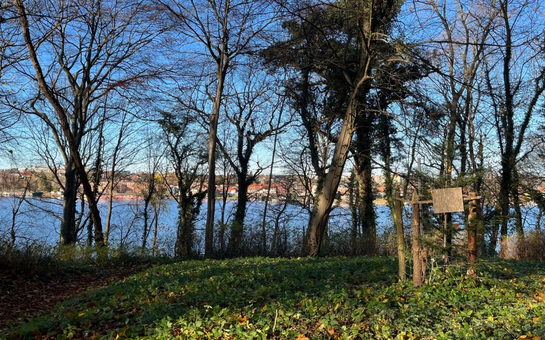 View on the Malchow lake, © Tourist-Information Malchow
