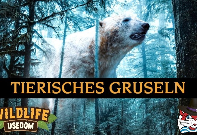 © tierisches_gruseln_co_pixabay.jpg